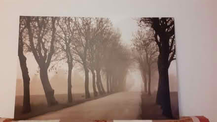 Photo of free 'Misty Road' Canvas (Loosley Row HP27) #1
