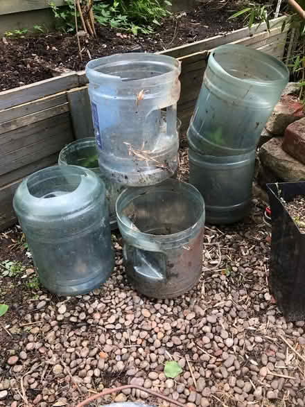 Photo of free Potato pots (Lochfield Paisley) #1