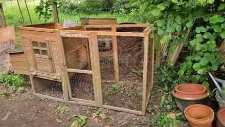 Photo of free Large chicken or rabbit run (Rye TN31) #1