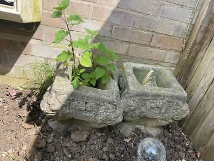 Photo of free 2 x Concrete planters (Stevenage SG2) #1