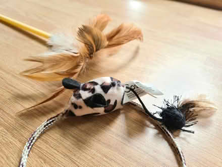 Photo of free Feather rod cat toy (Didcot OX11) #2