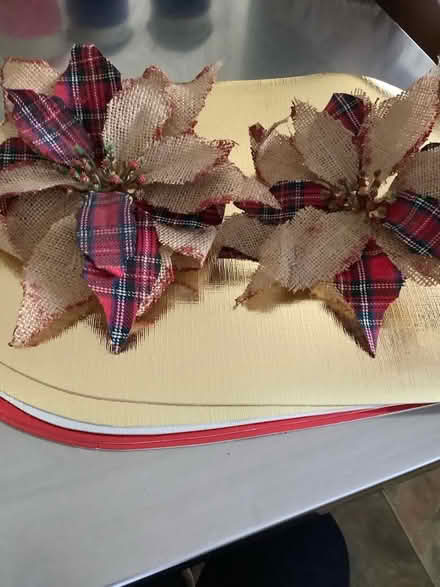 Photo of free Christmas assessories (NW2) #1
