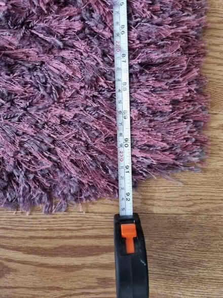 Photo of free Area rug (SW16) #4