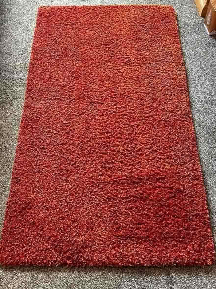 Photo of free IKEA Rug (Walsgrave CV2) #1
