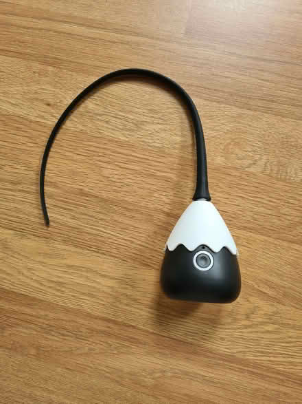 Photo of free Wriggly cat toy (Didcot OX11) #1