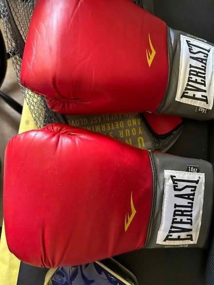 Photo of free Boxing gloves (Redhill RH2) #3