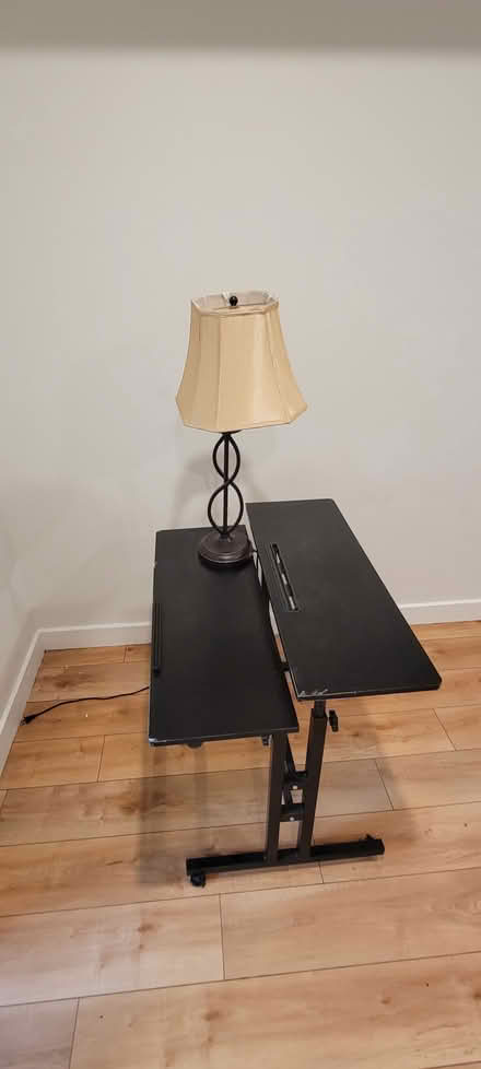 Photo of free Chair, Lamp (19133) #2