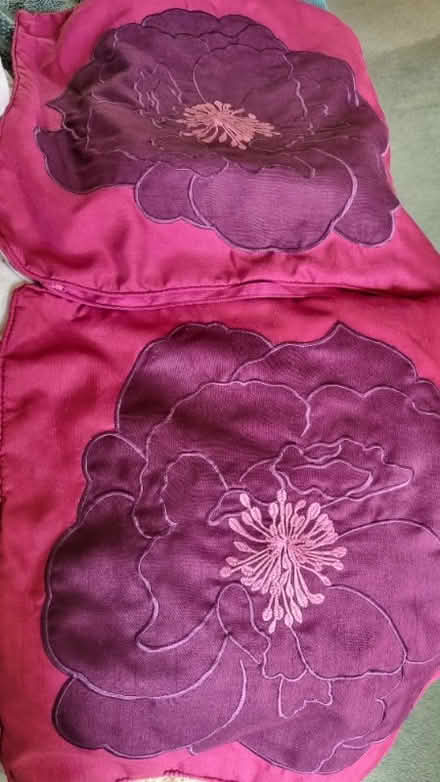 Photo of free Duvet set,pillowcases + 2 cushion covers (Dunkeswell EX14) #3