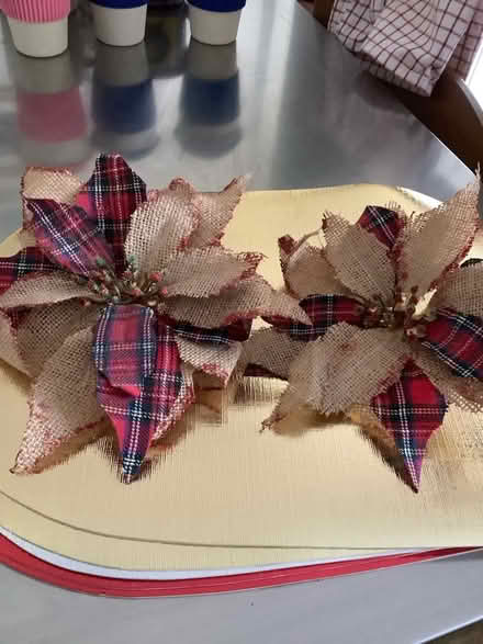 Photo of free Christmas assessories (NW2) #2