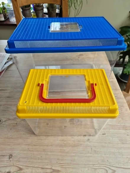 Photo of free Plastic Terrarium - various sizes (Furness Vale SK23) #1