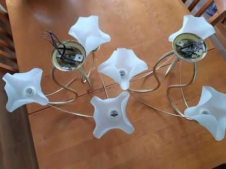 Photo of free Ceiling Lights (Bury BL8) #3