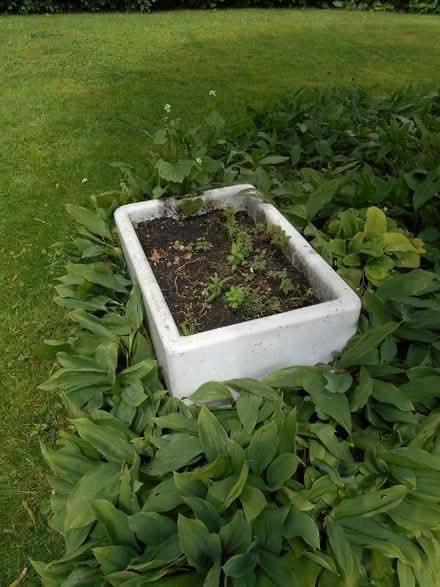Photo of free Butler Sinks (Sandridge AL4) #1