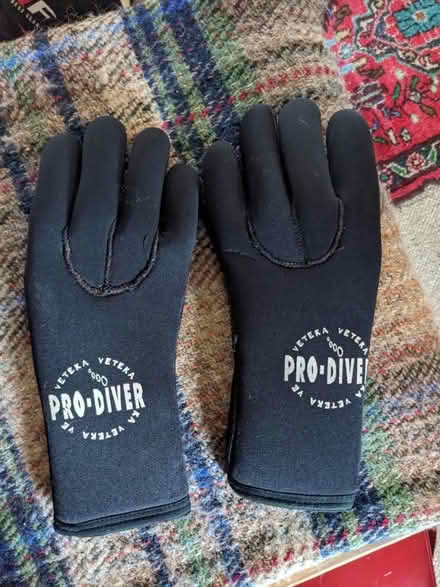 Photo of free Dive gloves (Harbertonford TQ9) #1