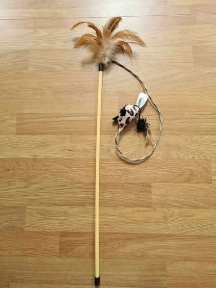 Photo of free Feather rod cat toy (Didcot OX11) #1