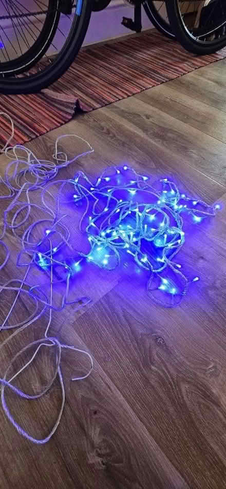 Photo of free Conservatory/indoor flashing lights (EN1) #1
