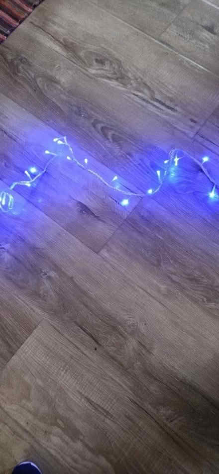 Photo of free Conservatory/indoor flashing lights (EN1) #4