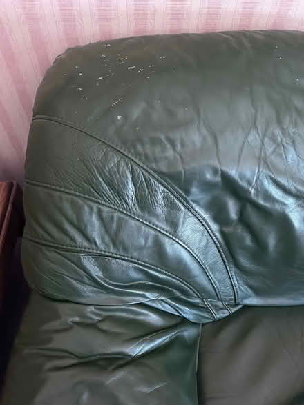 Photo of free Green leather sofa (Cottage Lake) #3