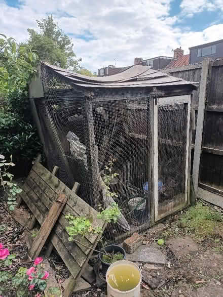 Photo of free Shed/coop (Catford South SE12) #1