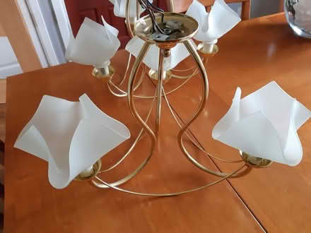 Photo of free Ceiling Lights (Bury BL8) #1