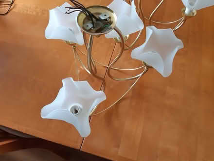 Photo of free Ceiling Lights (Bury BL8) #2