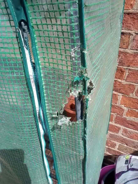 Photo of free 4 Tier Growhouse (Charlton Kings GL52) #3