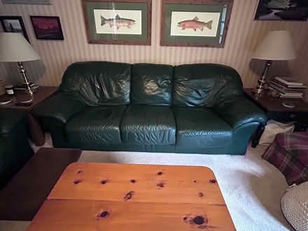 Photo of free Green leather sofa (Cottage Lake) #1