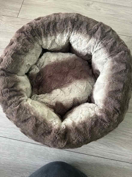 Photo of free Small cat bed (Staines TW18) #1