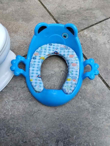 Photo of free Almost new and hardly used potty seat (Witham CM8) #2