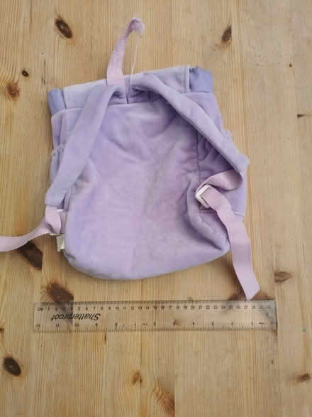 Photo of free Dora the explorer bag (Horley, RH6) #2