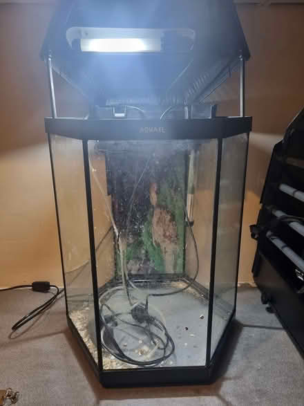 Photo of free Fish tank #2 (outwood RH1) #2