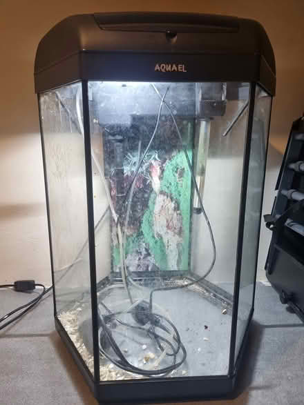 Photo of free Fish tank #2 (outwood RH1) #1