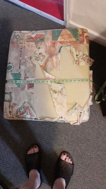 Photo of free Foam cushions (Belle Vue SY3) #1