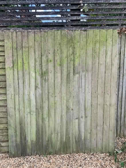 Photo of free Fencing (Marshalswick AL1) #1