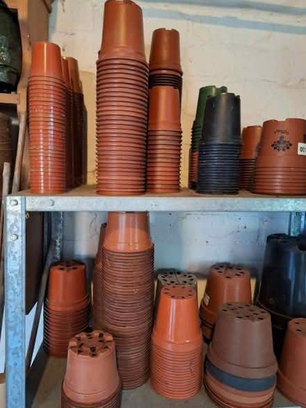 Photo of free Planting out trays, pots and tables (Wigston, Leicester) #2