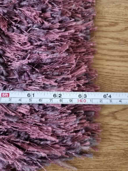 Photo of free Area rug (SW16) #3
