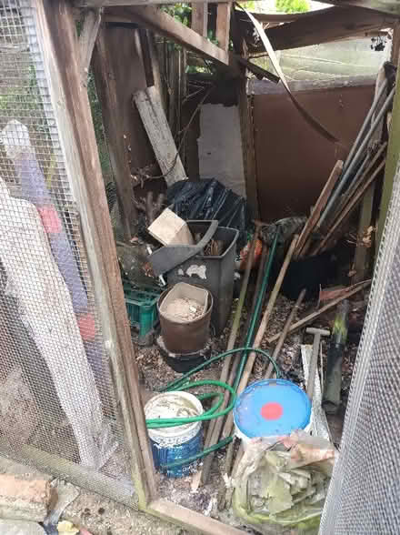 Photo of free Shed/coop (Catford South SE12) #2