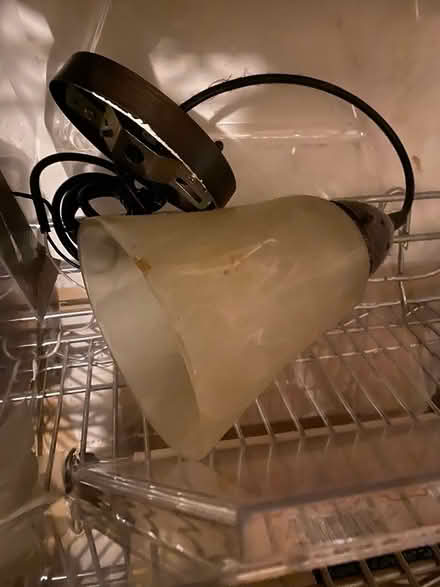 Photo of free Ceiling light fixture (Eureka) #1
