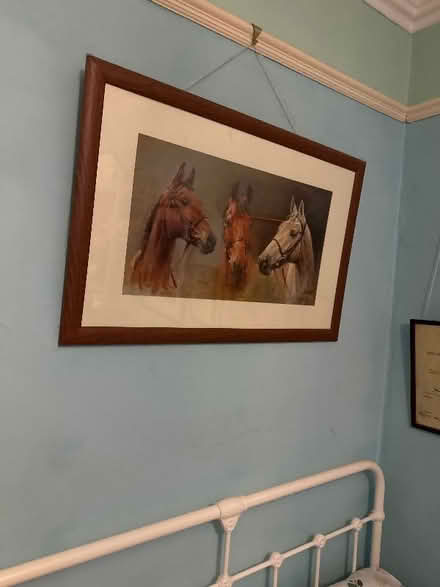 Photo of free Picture of three horses (AB24) #1