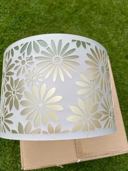 Photo of free Lampshade (Sharnbrook) #2