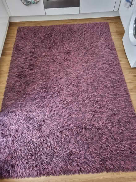 Photo of free Area rug (SW16) #2