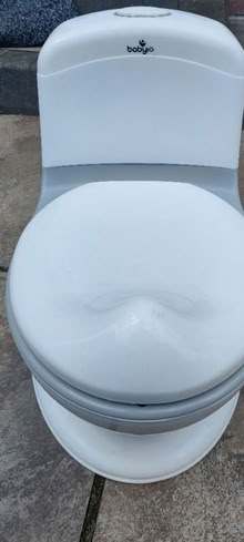 Photo of free Almost new and hardly used potty seat (Witham CM8) #3
