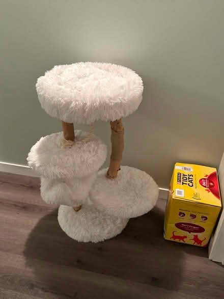 Photo of free Cat tree and kitty litter (South loop) #1