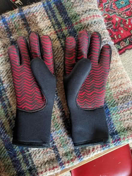 Photo of free Dive gloves (Harbertonford TQ9) #2