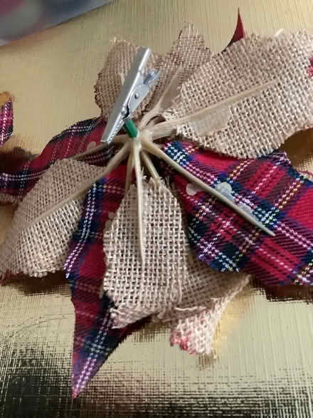 Photo of free Christmas assessories (NW2) #4