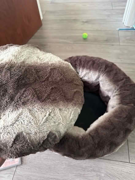 Photo of free Small cat bed (Staines TW18) #3