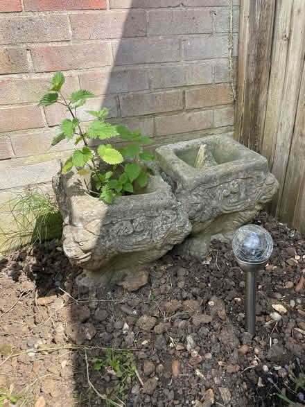 Photo of free 2 x Concrete planters (Stevenage SG2) #2