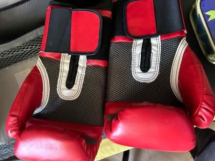 Photo of free Boxing gloves (Redhill RH2) #2