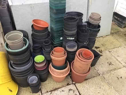 Photo of free Plant pots (North Ascot SL5) #1