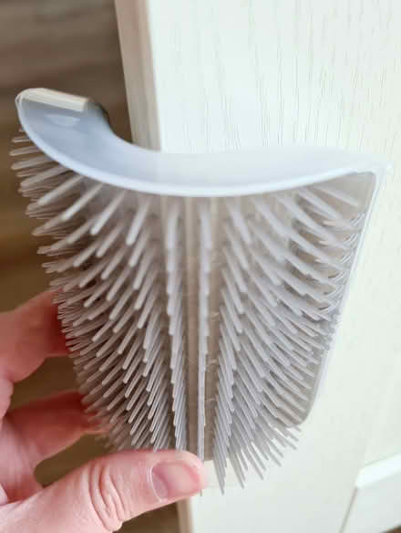 Photo of free Cat cheek/body scratchers (Didcot OX11) #2