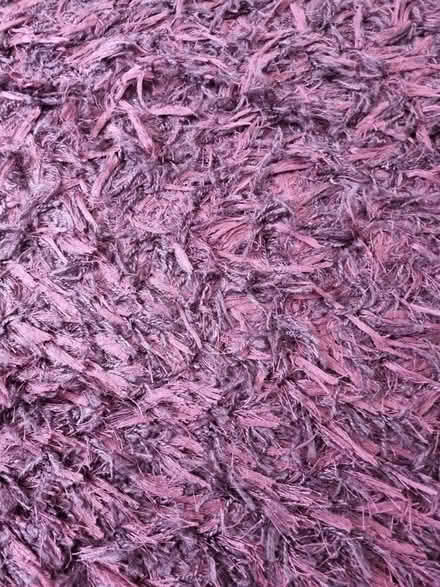 Photo of free Area rug (SW16) #1